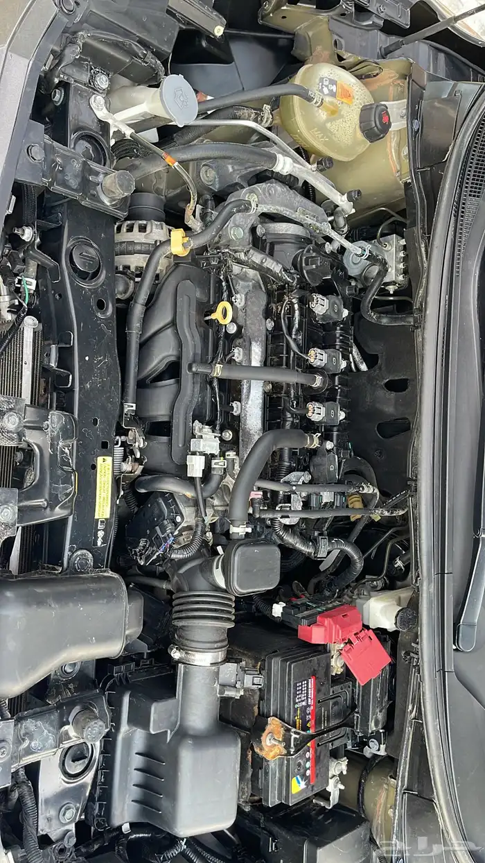 صني الشكل الجديد المكسيكي موديل 2022 5