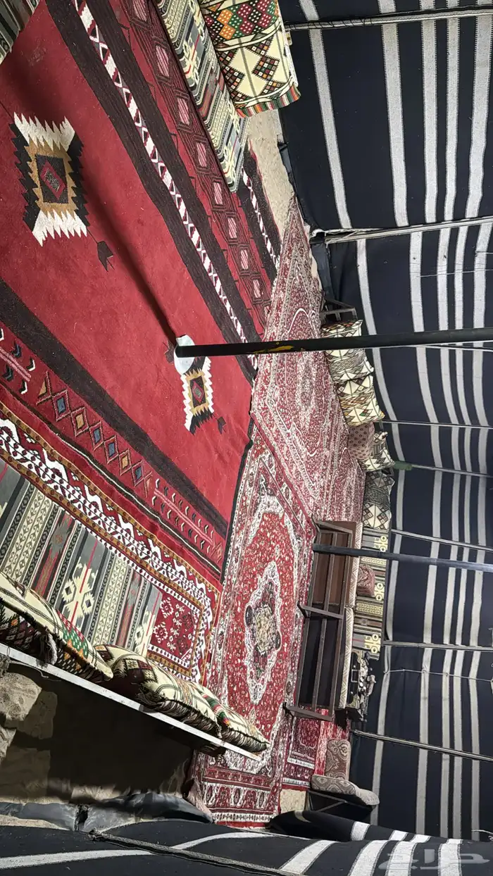 مخيمات هلا للإيجار 8