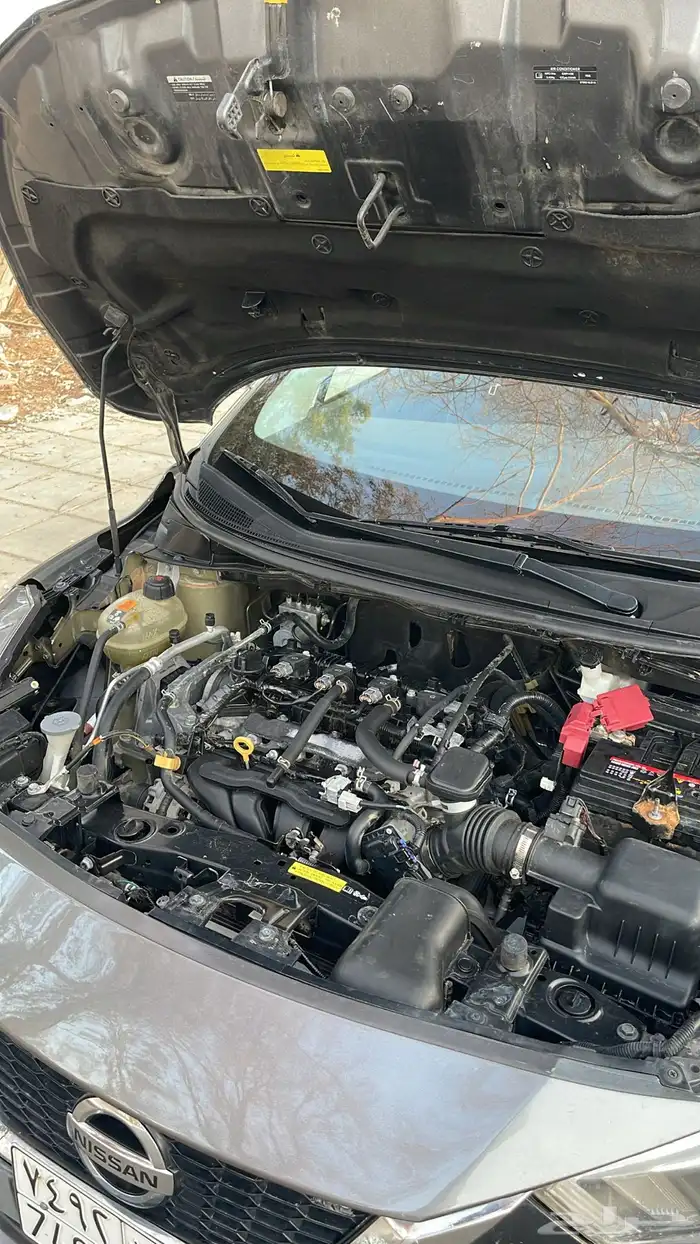 صني الشكل الجديد المكسيكي موديل 2022 4