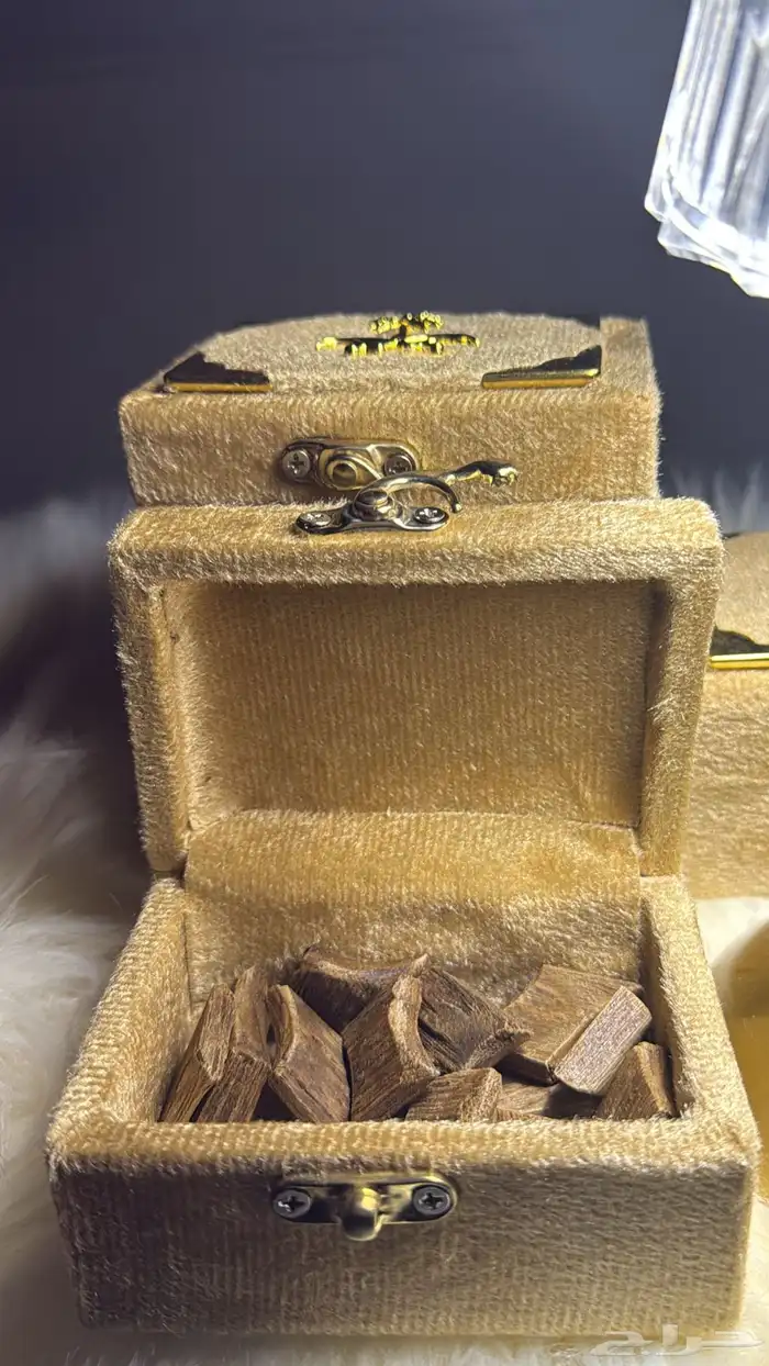 عود كفو وبطل 4