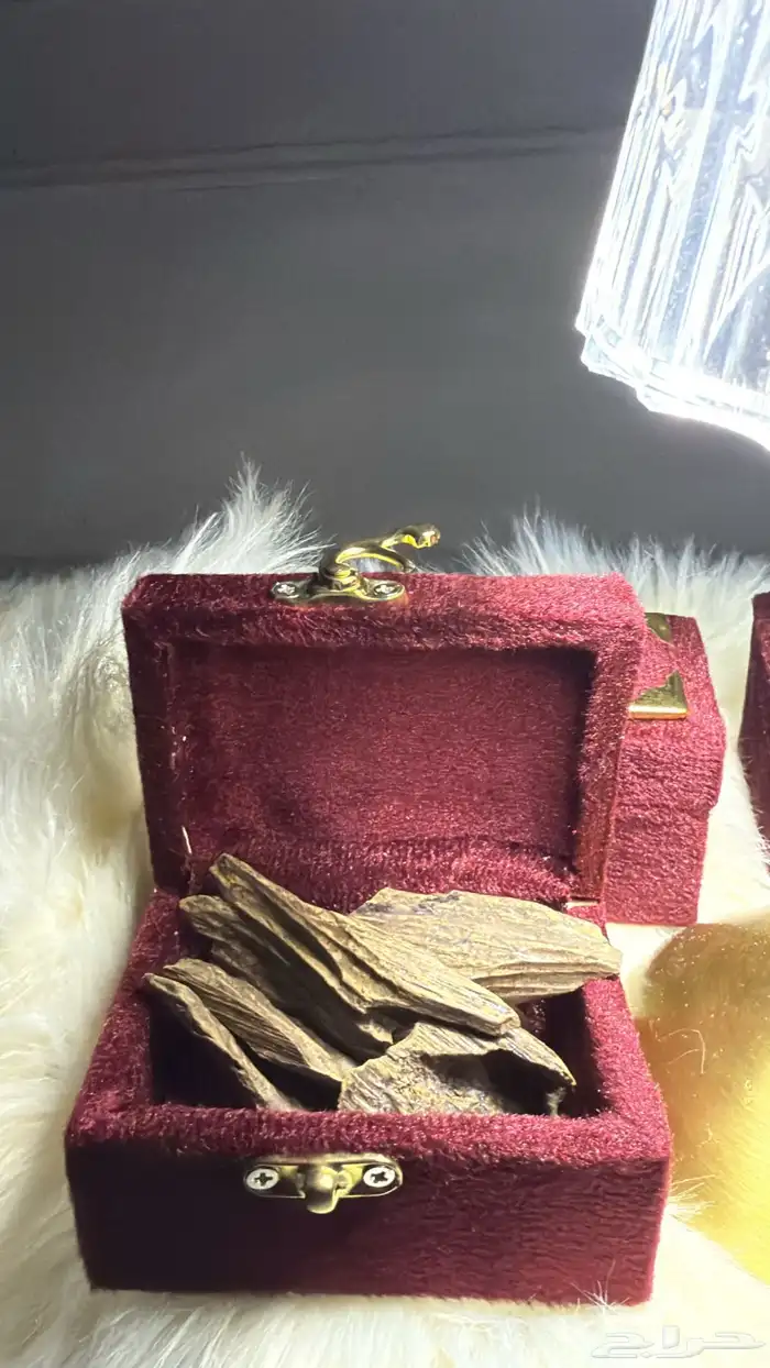 عود كفو وبطل 5