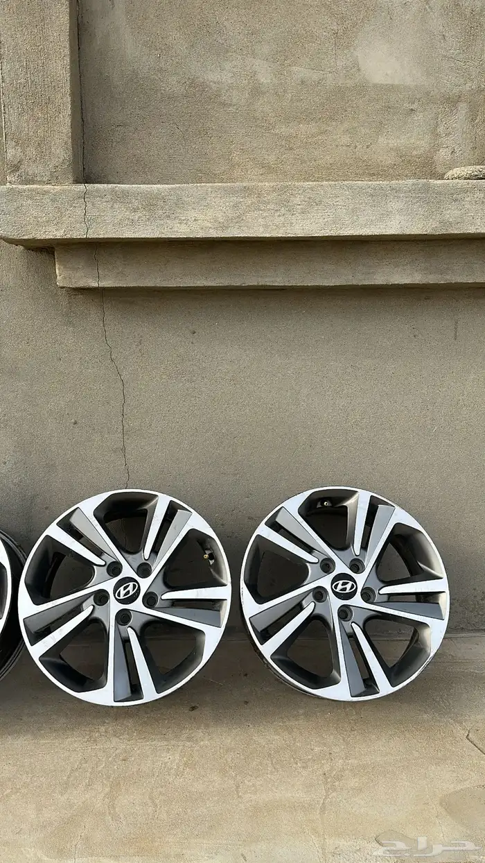 جنوط النترا 2