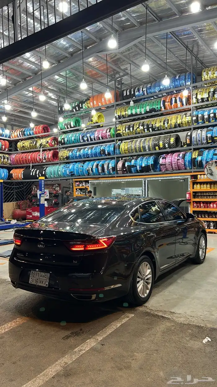 كادينزا 2017 2