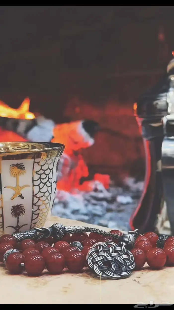 مطلوب بيت او بيتين محميه لزراعة الخضار ( سعودي مبتدئ ) 0