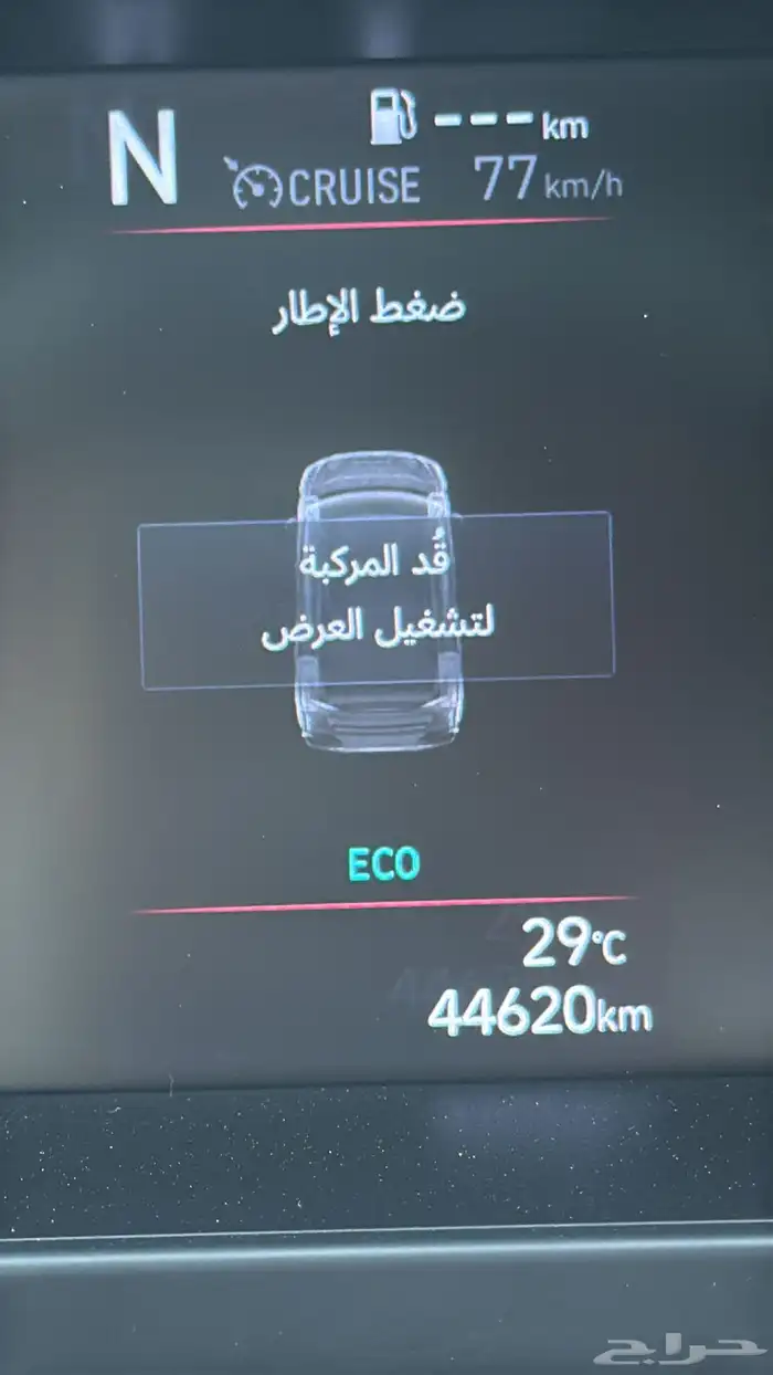 النترا 2024 13