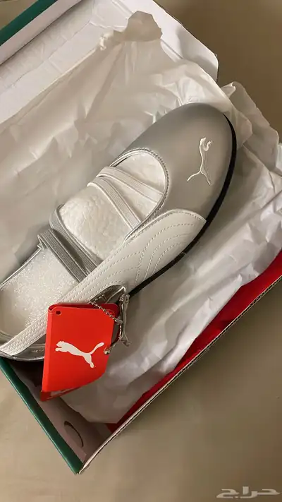 جديد زي ماهوا المقاس 38 ولا مرا لبست طلبت وطلع مو نفس مقاسي index