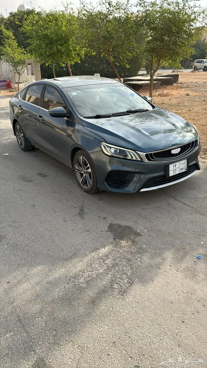 جيلي بينراي 2022 0