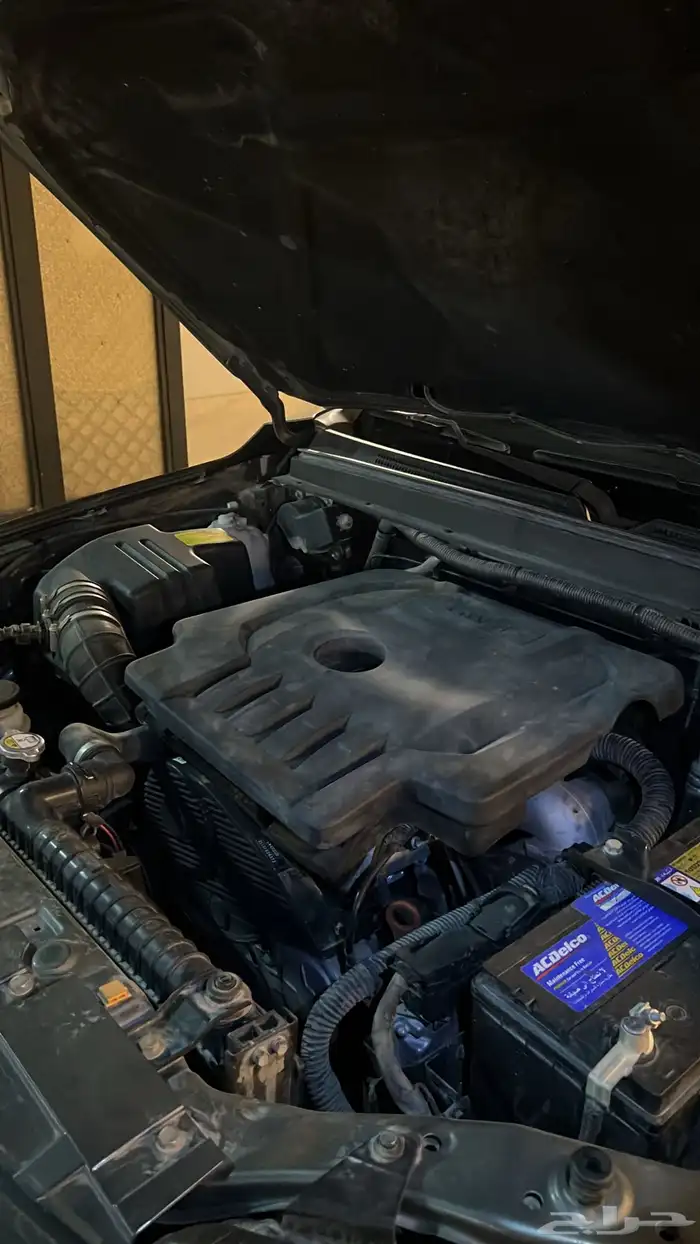 جريت وول ديزل 2022 8