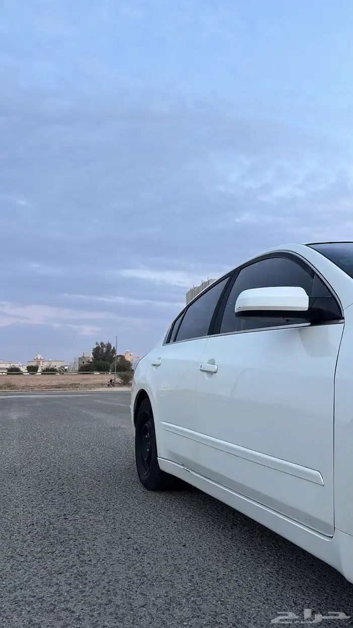 التيما 2008 المالك الثاني استاندر 7