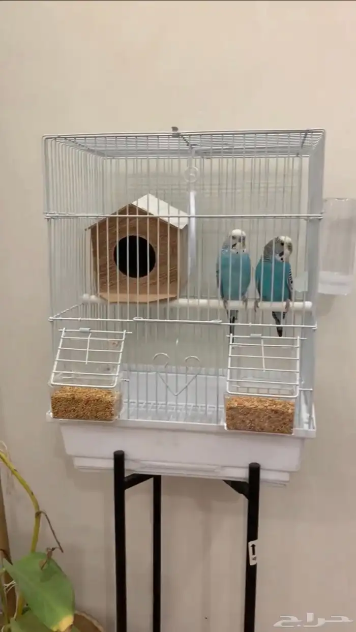 فندق للحيونات الاليفه 2