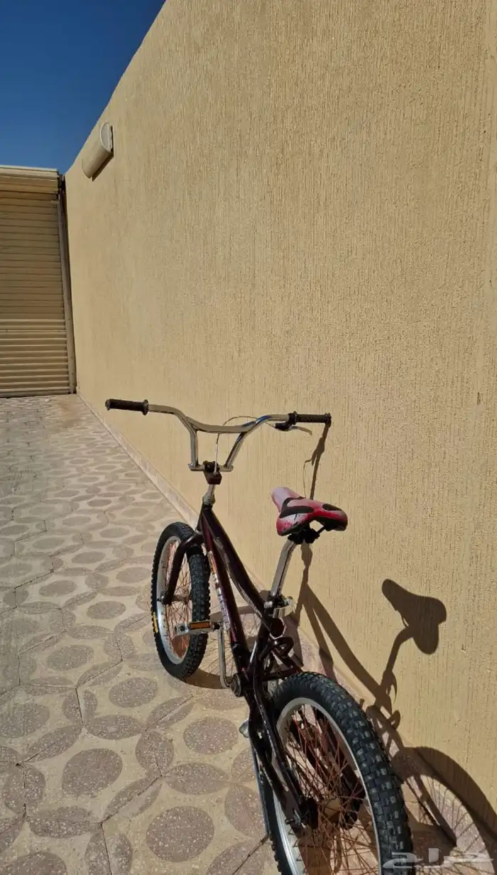 سيكل كوبرا 1