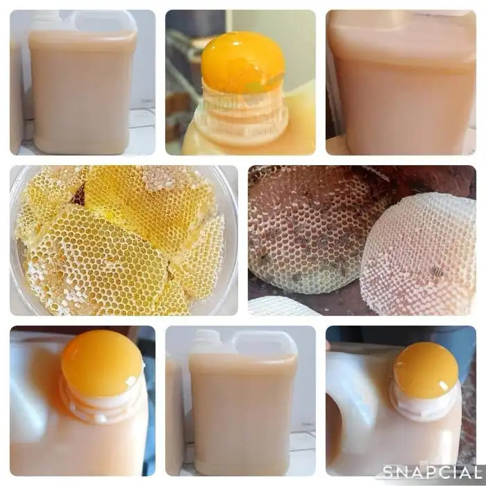 عسل سدر درجه اولي 0