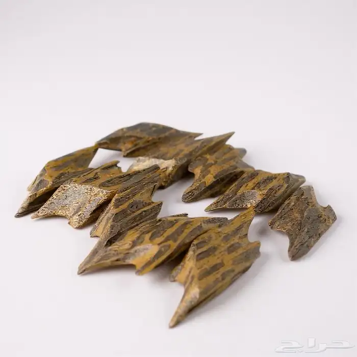 اوقية تايقر صمود ب 87 0