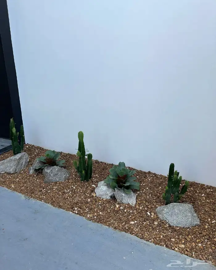 تنسيق حدائق الرياض 6