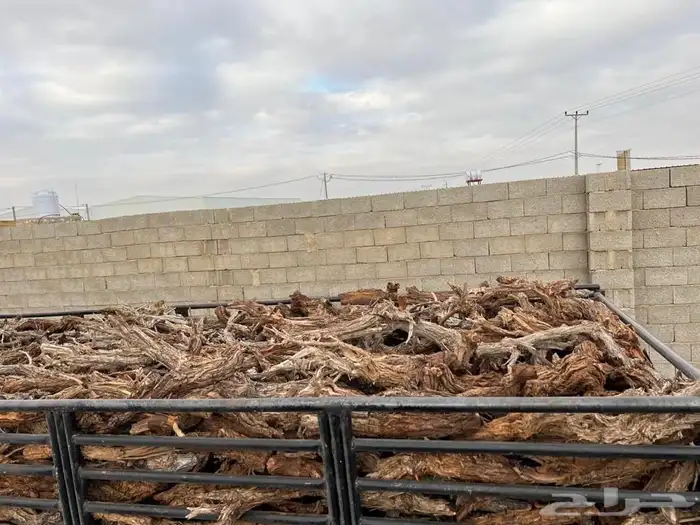 البيع ديانه حطب مستورد 0