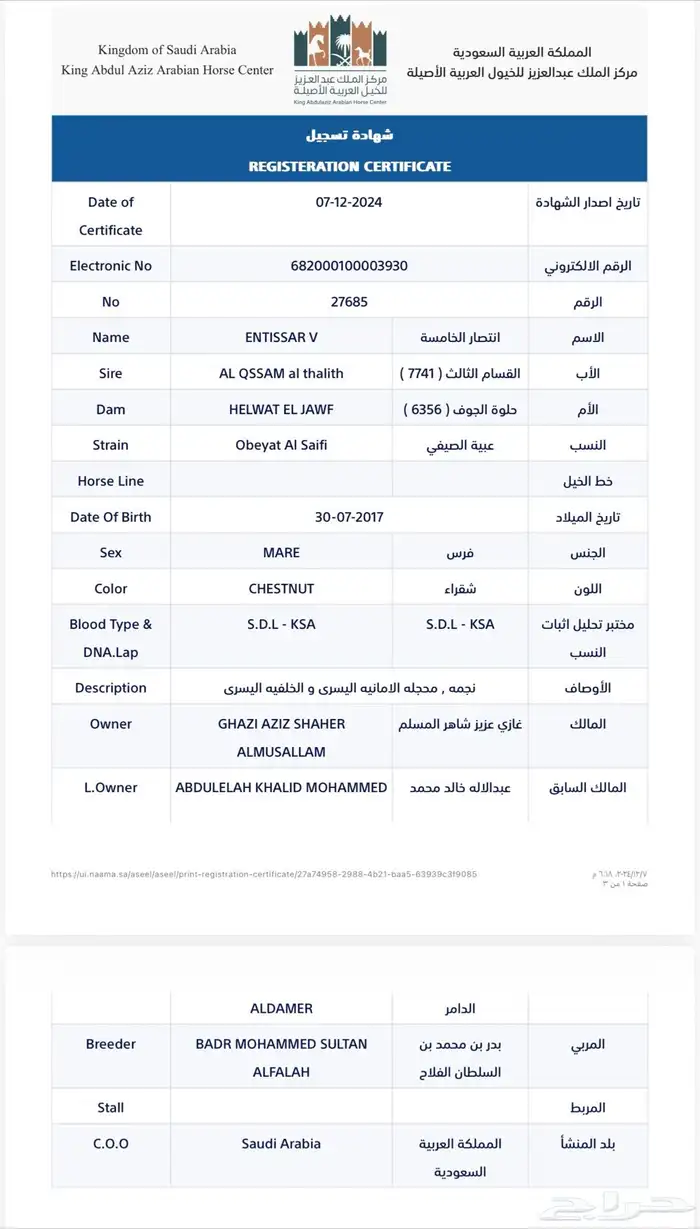 فرس واهو لقاح على فحل طيب بسعر مغري 4