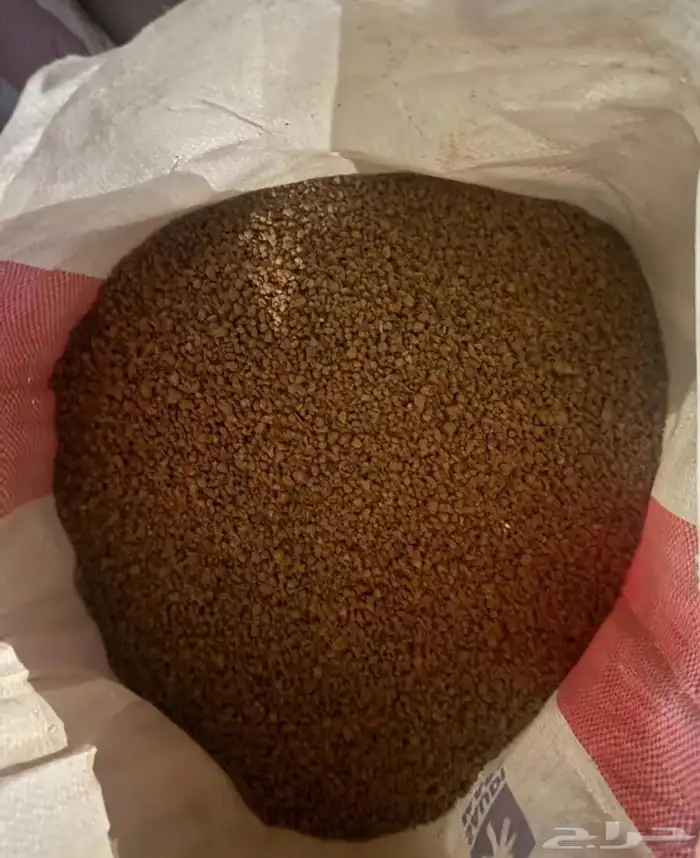 بطحا حايل فاخره الان في الجبيل 1