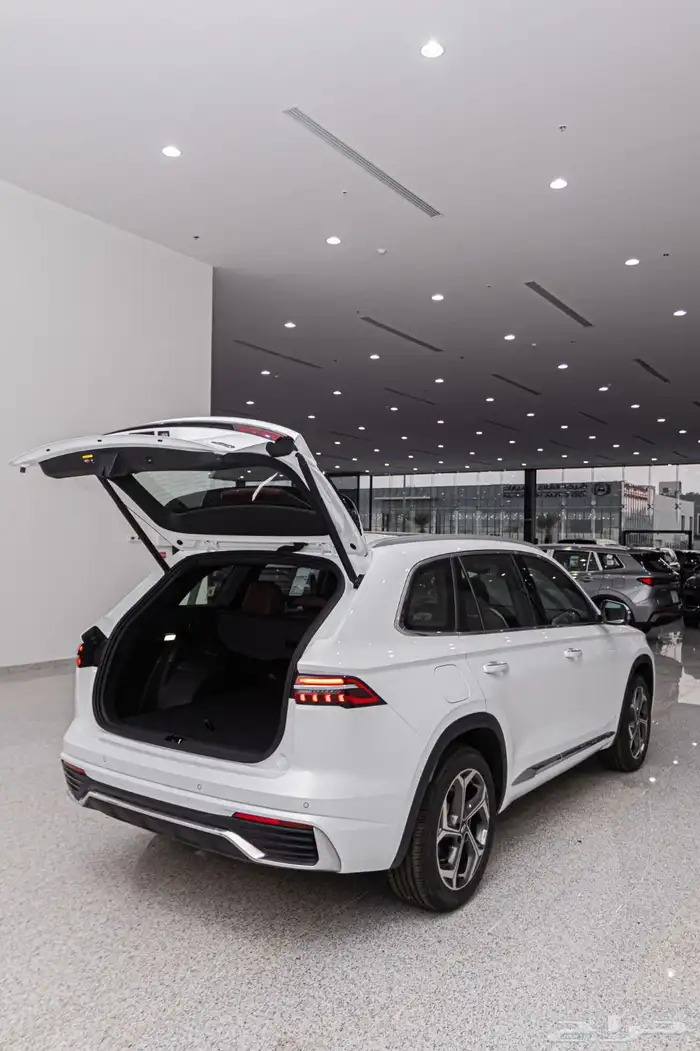 جيلي مونجارو 2024 GK نص فل ب 93150 شامل الضريبة 8