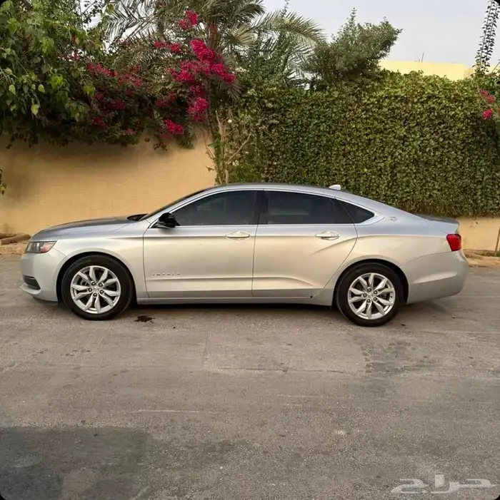 امبالا 2019 صيانات وكاله 1