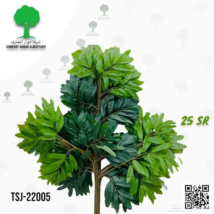 شجرة سنايع تنسيق أي مكان بالعالم الخارجي داخلي 6