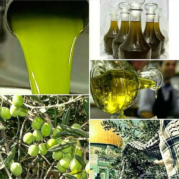 زيت زيتون فلسطيني بكر بعل جديد معصور ع البارد فاخر لكل المدن 2