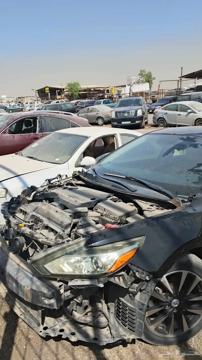 التيماء نيسان 2018 1