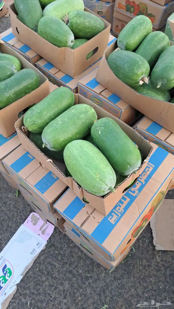 مندوب وموزع خضار 10