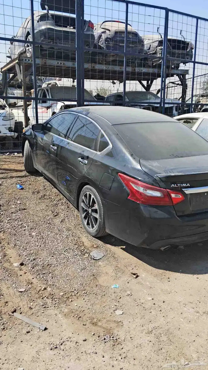 التيماء نيسان 2018 6