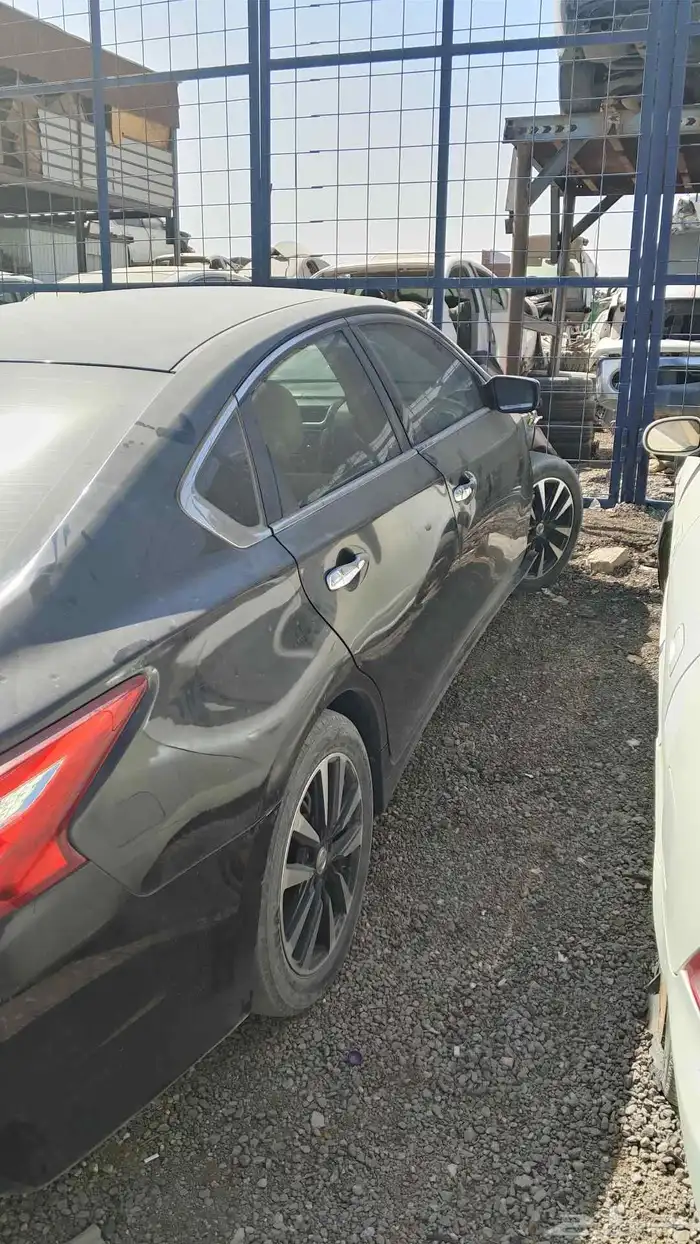 التيماء نيسان 2018 4