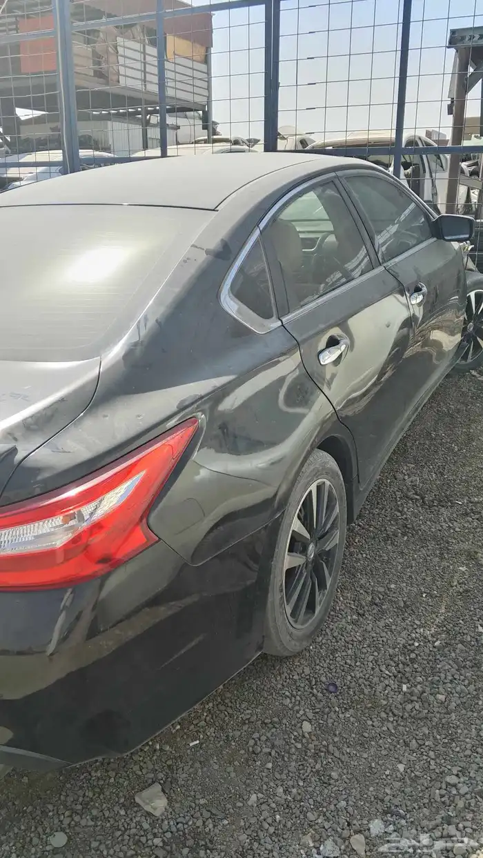 التيماء نيسان 2018 0