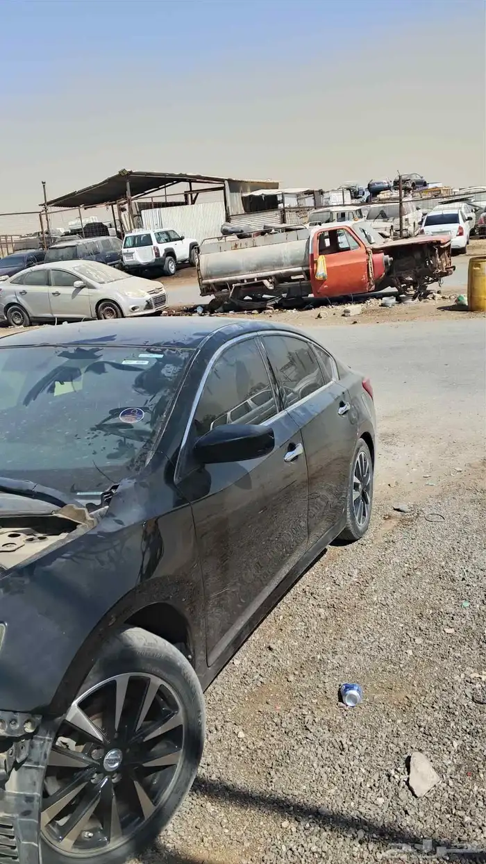 التيماء نيسان 2018 5