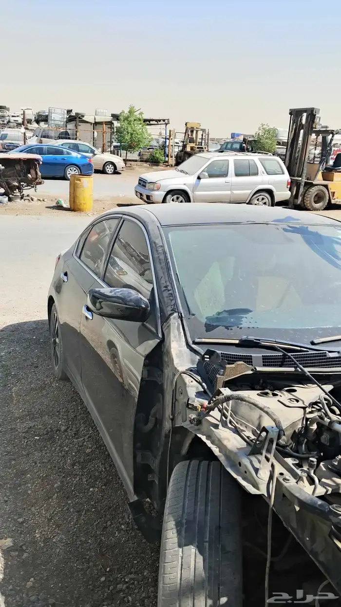 التيماء نيسان 2018 3