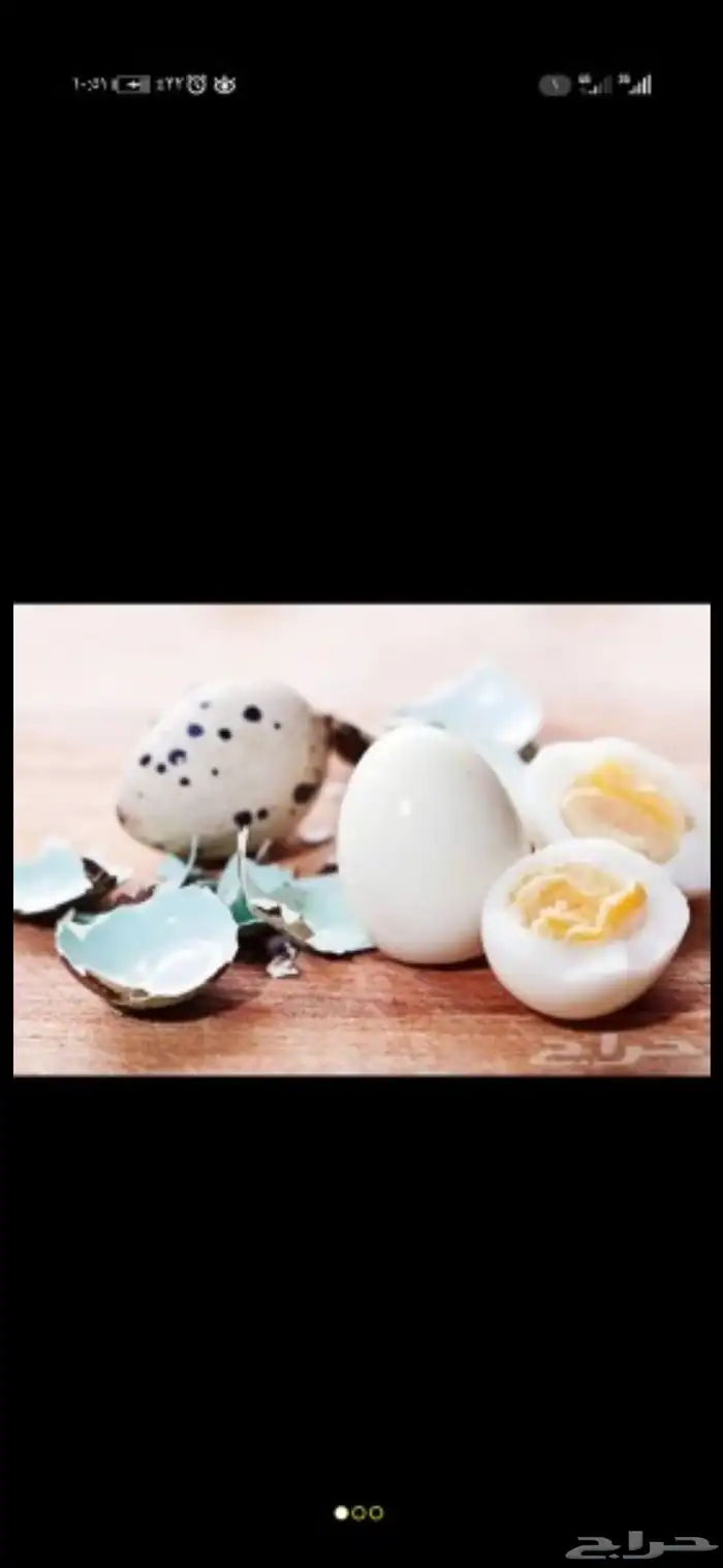 بيض سمان انتاج يومي ولله الحمد 0