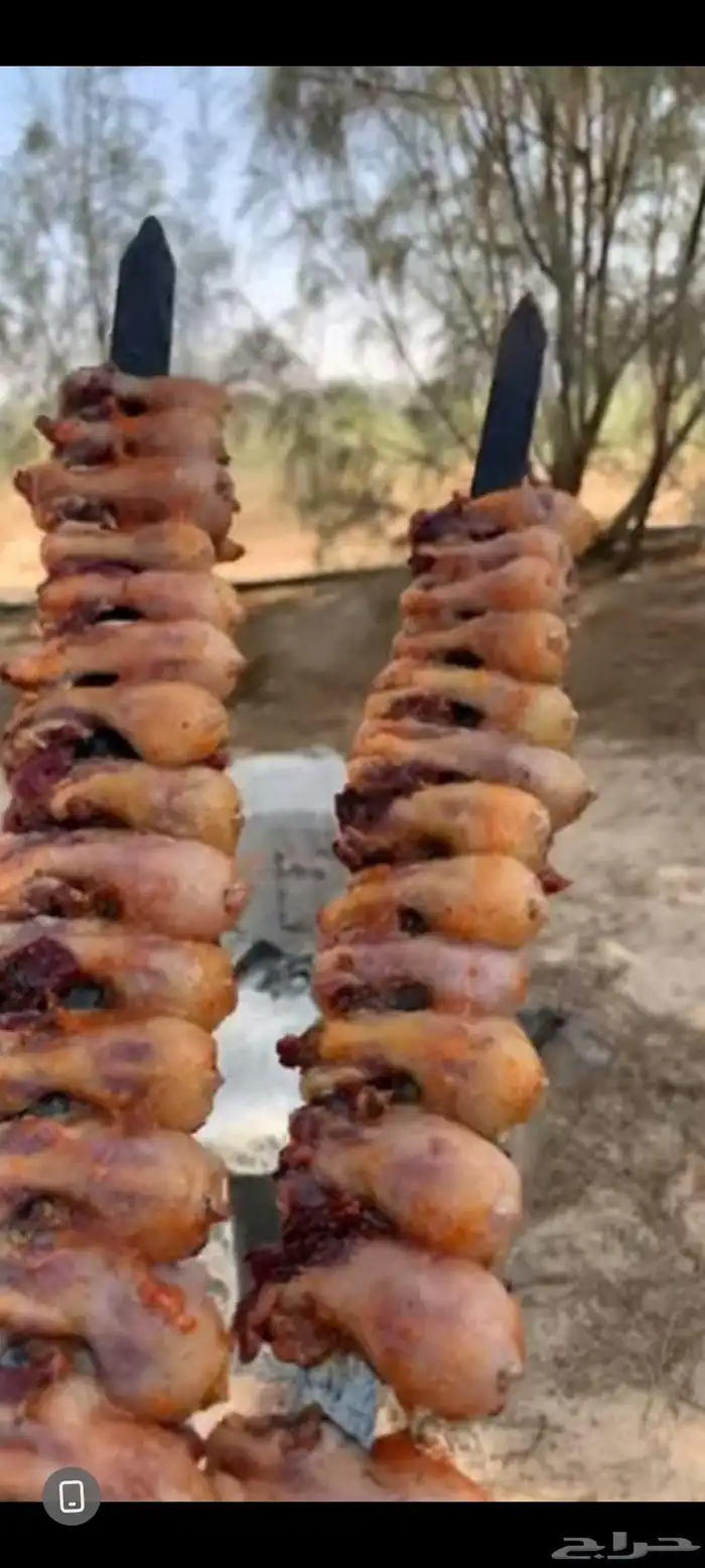 طيور شحمم ولحم عرض خاص 0