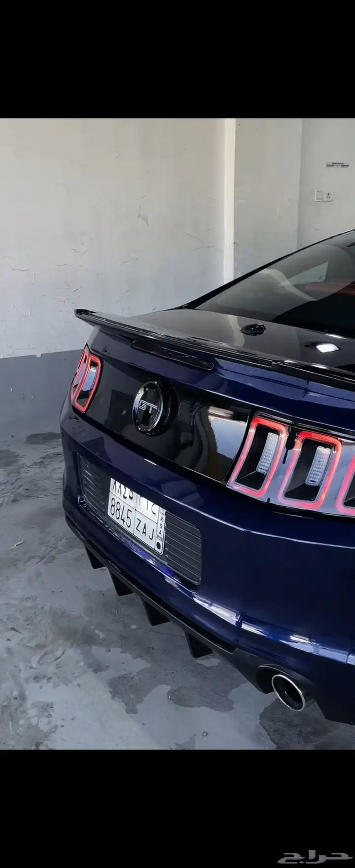 موستنق 5.0 2012 6