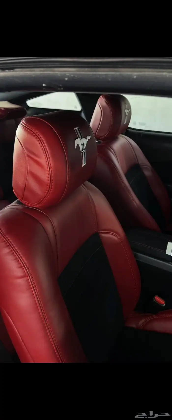 موستنق 5.0 2012 5