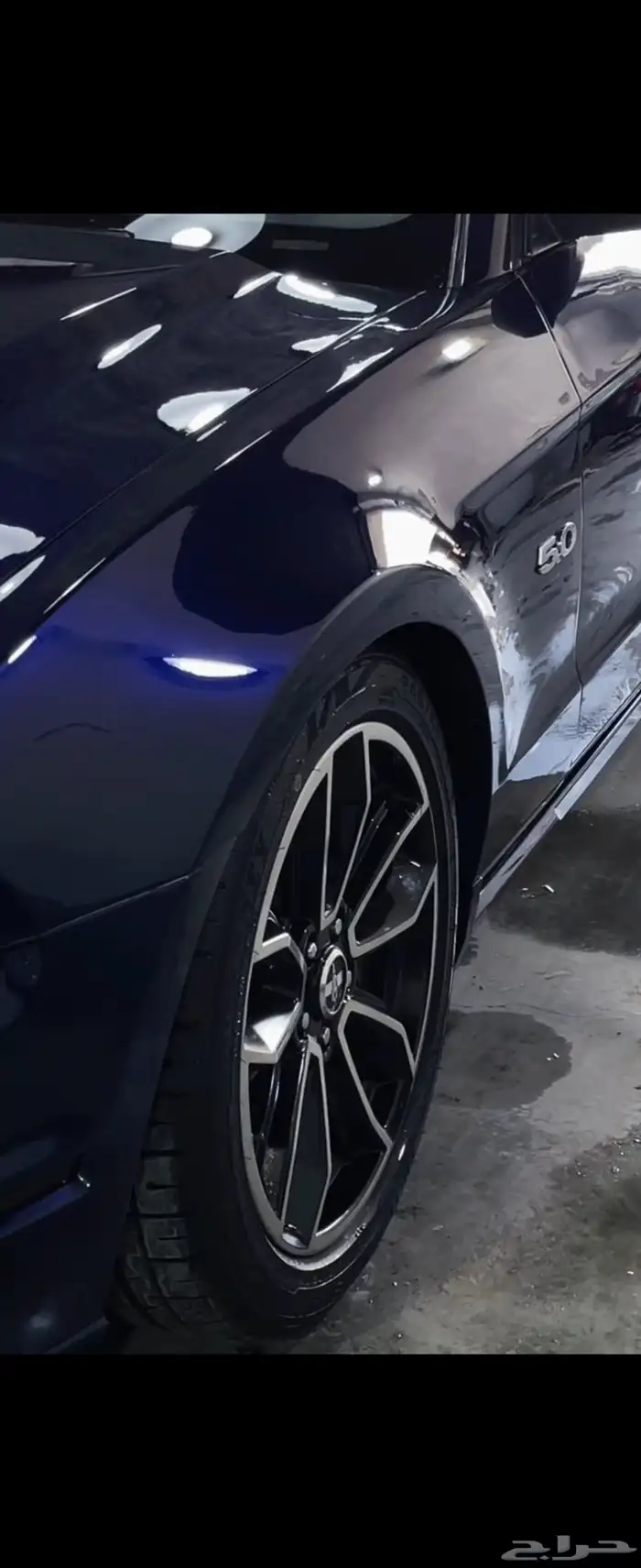 موستنق 5.0 2012 3