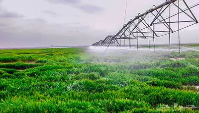 للبيع مشروع زراعي كبير بتبوك 0