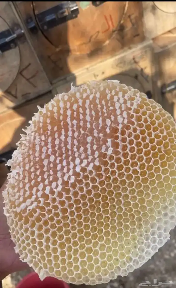 عسل سدر او سدره 0