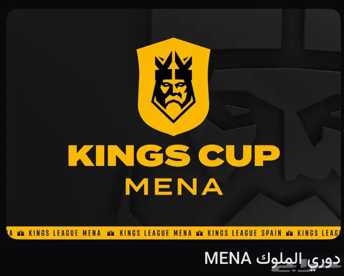 نهائي دوري الملوك 0