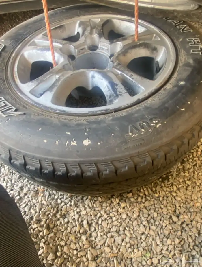 جنوط ربع وشاص لكزز المحيميد 0