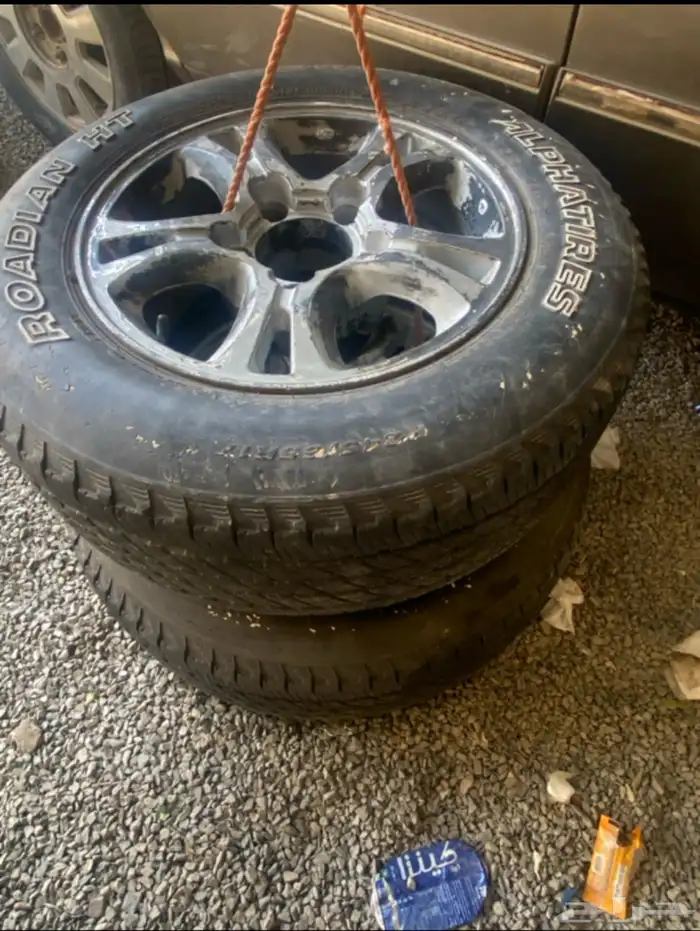 جنوط ربع وشاص لكزز المحيميد 1