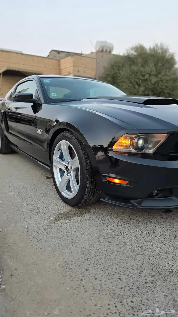 موستنق 2011 (5.0) قير عادي 6