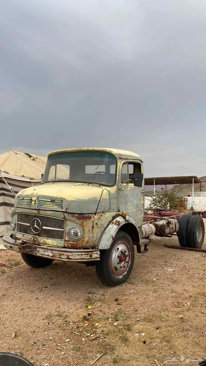 وايت حصنان للبيع موديل 70 0