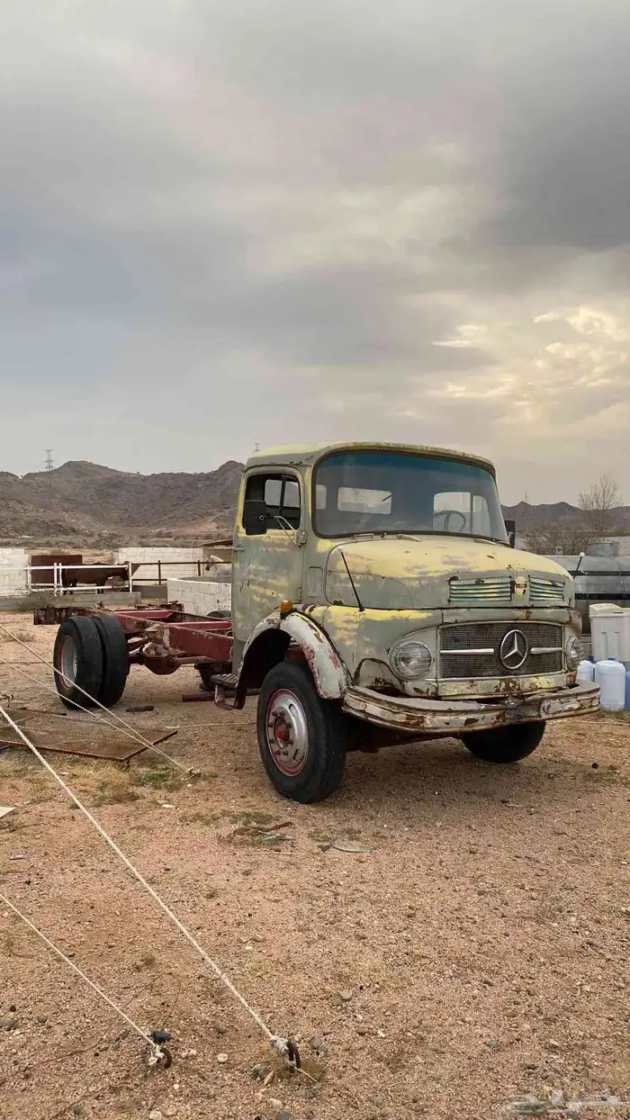 وايت حصنان للبيع موديل 70 1