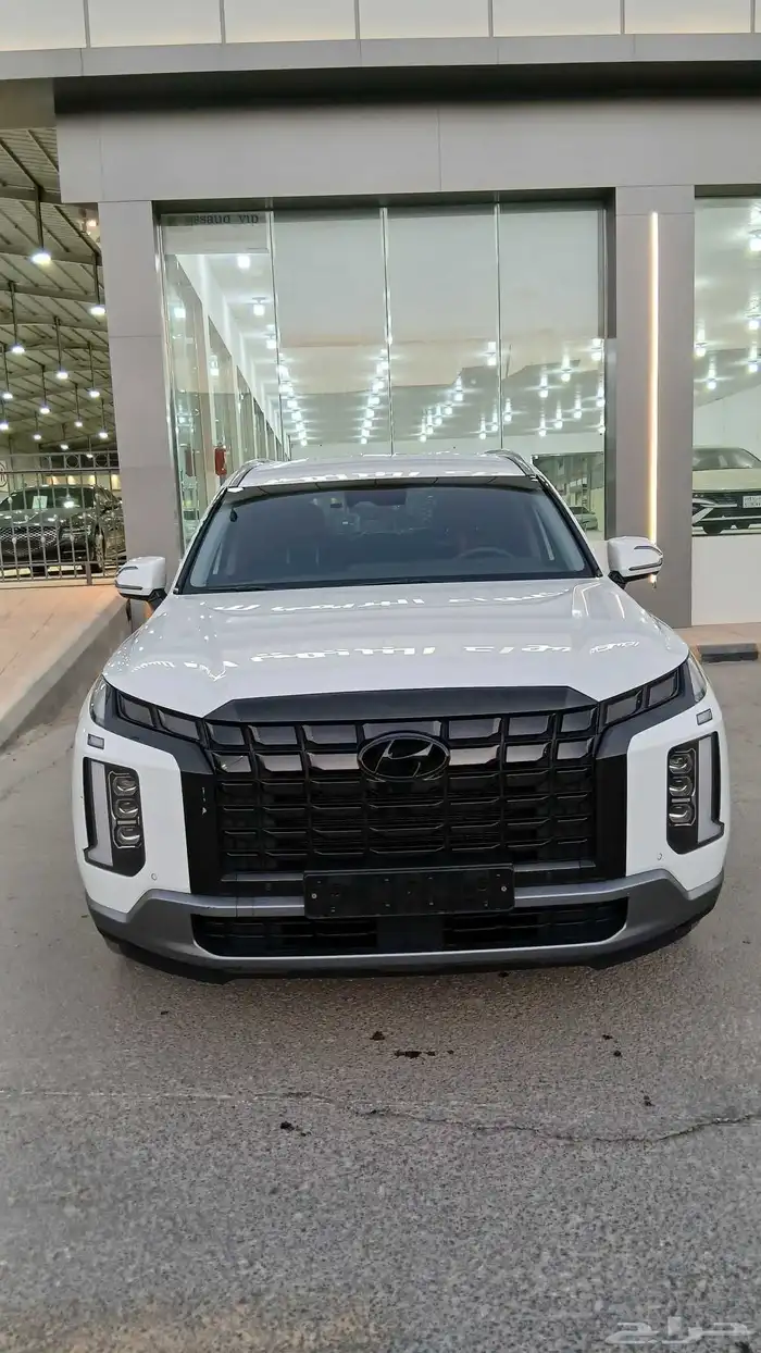 باليسيد 2023 ممشى 30 الف 25