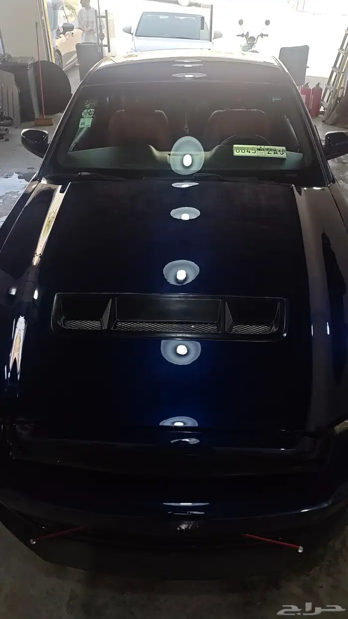 موستنق 5.0 2012 8