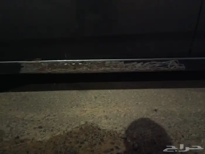 نبسان صني 2024 5