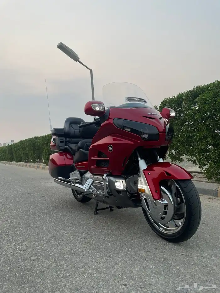 قولد وينق 2014 0