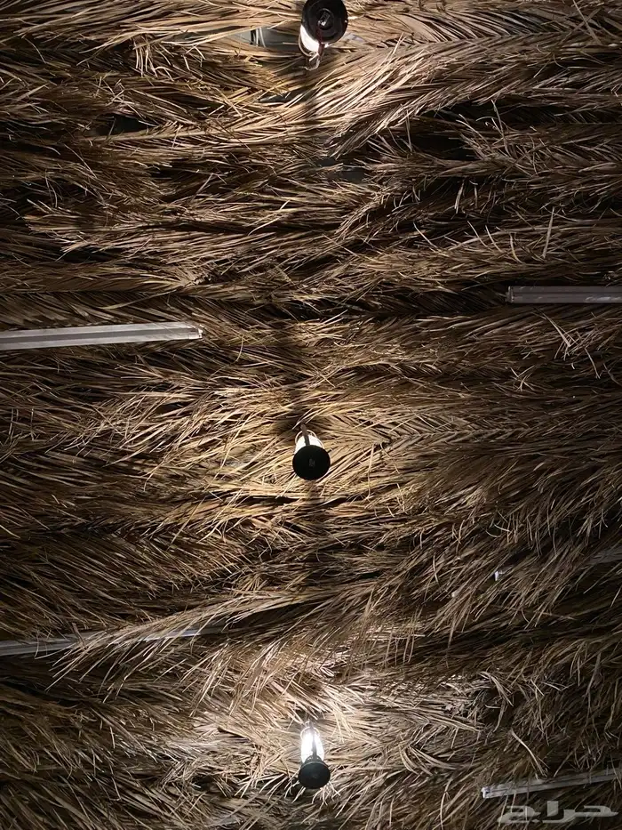 مخيم واستراحة الرمانه 8